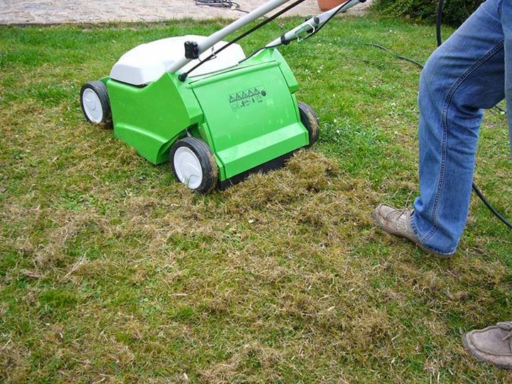 El Jardinero, plantas y flores: abril 2014