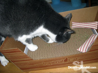 Cat Claws Subscription Box: The Gift That Keeps On Giving. Win One Here! #sponsored