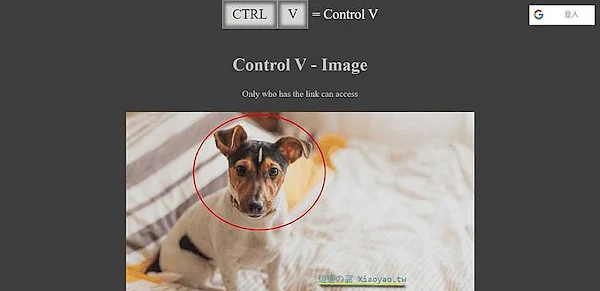Control V 複製＆貼上就能分享圖片