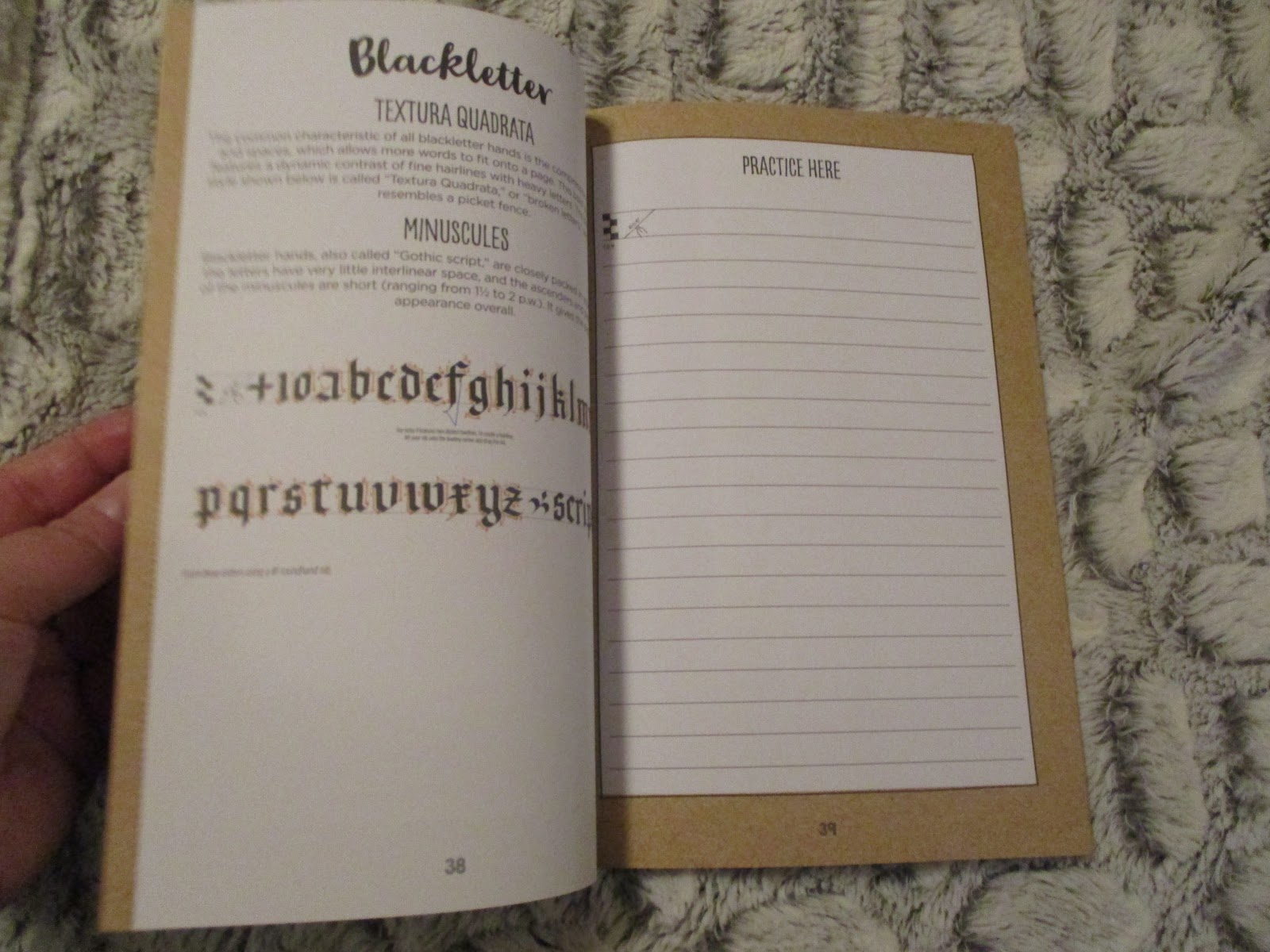 Margaret Shepherd Calligraphy Blog Calligraphy Every Day 17