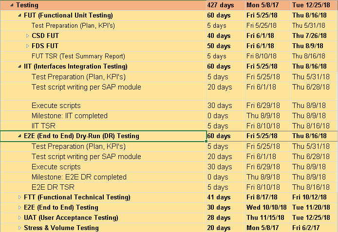 SAP Testing Phase