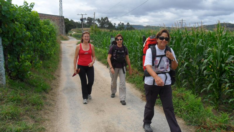 Un centenar de personas, de peregrinaje por el Lérez