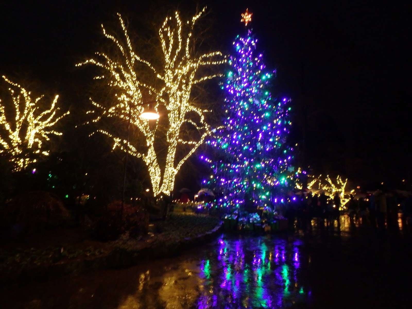 The Magic of Christmas Mother, Daughter Weekend in Sidney BC