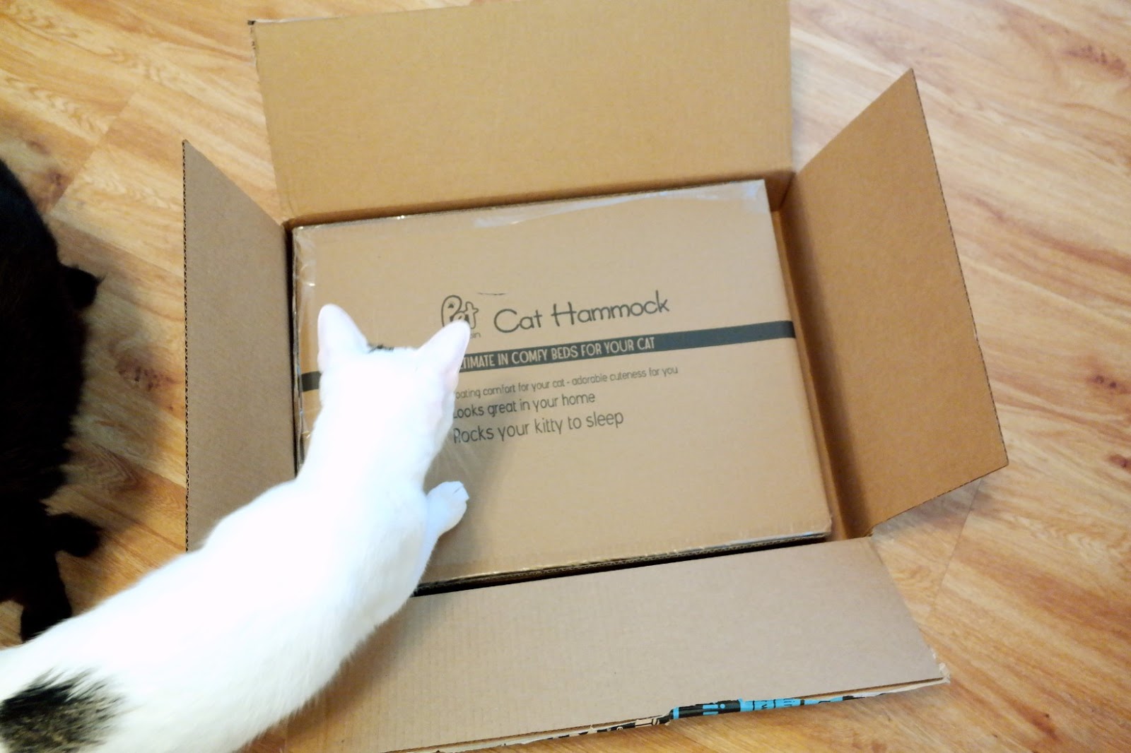 Cherry Lips Blonde Curls Review Pet Magasin New Cat Hammock