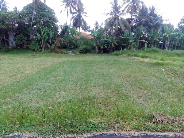 Lawatan Tapak Bina Rumah Tanah Sendiri di Kota Jembal Kelantan