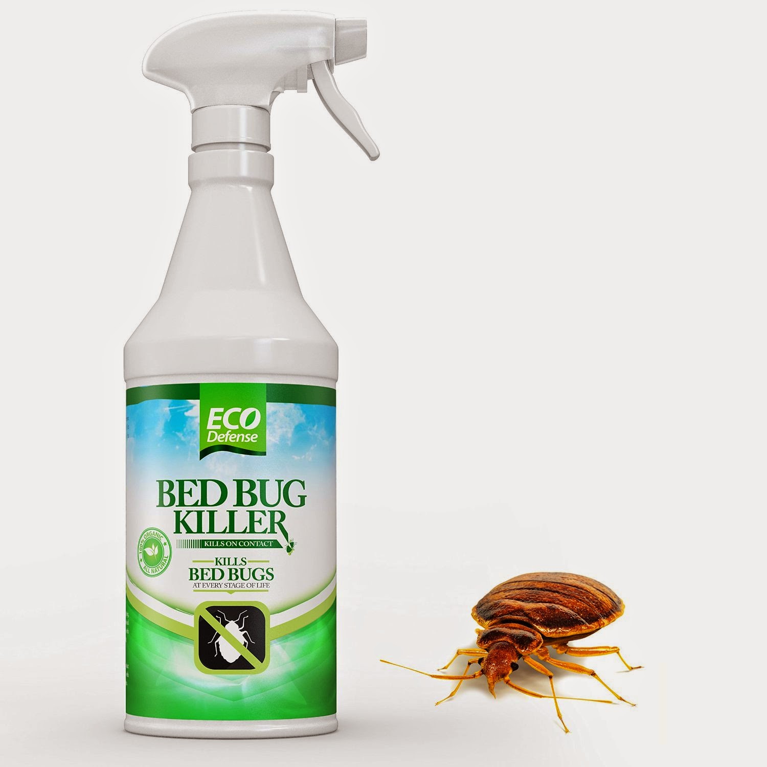 To Daisy's Reviews Bed Bug Killer by Eco Defense Review 