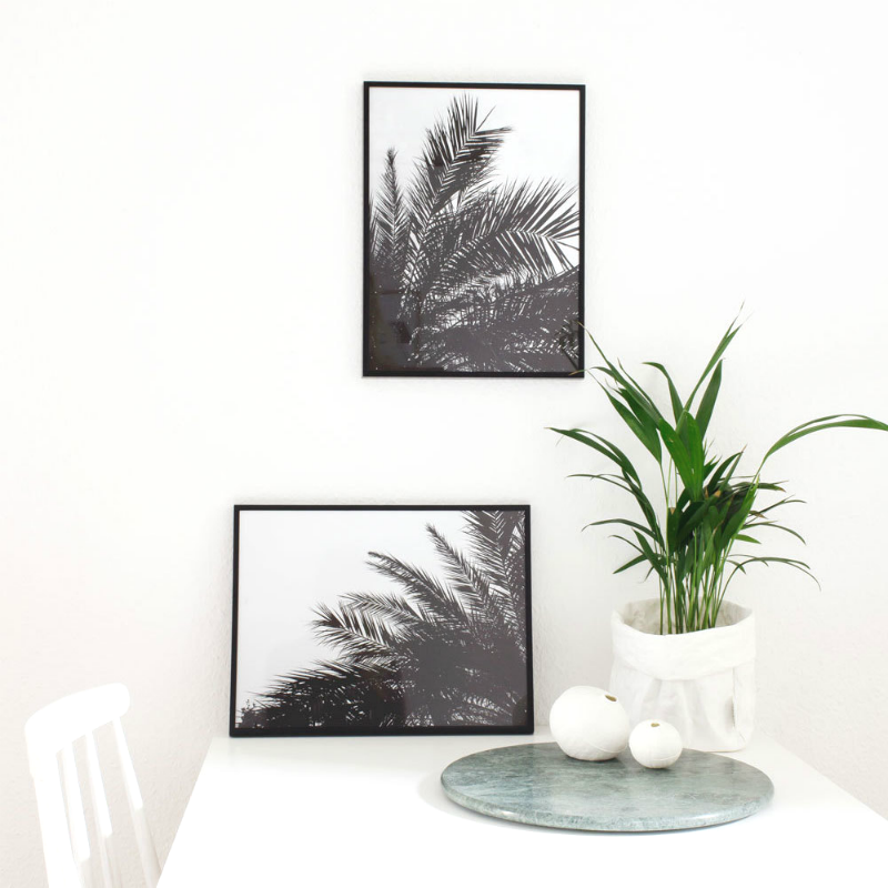 Black and White Palm Tree Prints