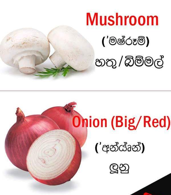 Vegetable names in English Sandy Foods Sri Lanka