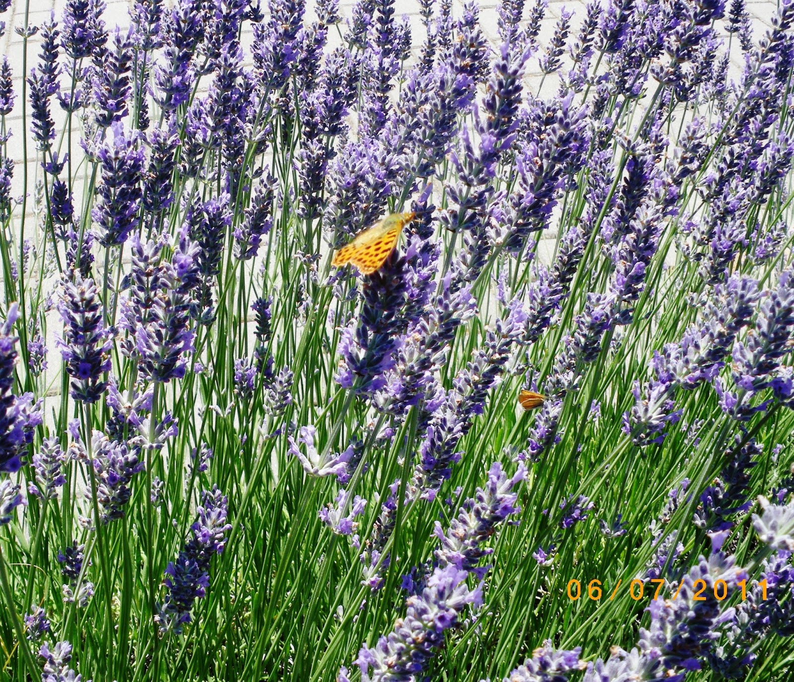 Ferreras de Abajo FOTOS DE FERRERAS