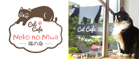 logo and photo of Cat Cafe