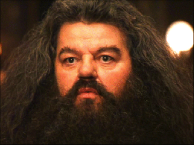Is Hagrid From Harry Potter Died?