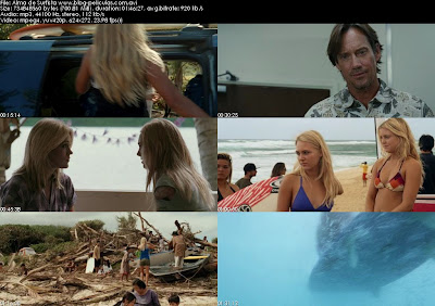 Alma de Surfista dvdrip latino