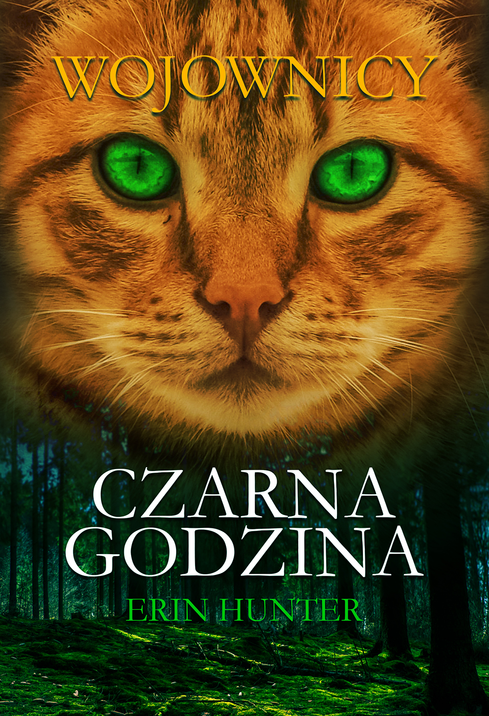 Fire and Ice by Erin Hunter Fire and Ice by Erin Hunter