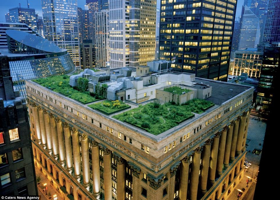 jardines en techo de edificios