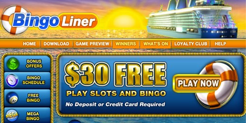 Liner Liner