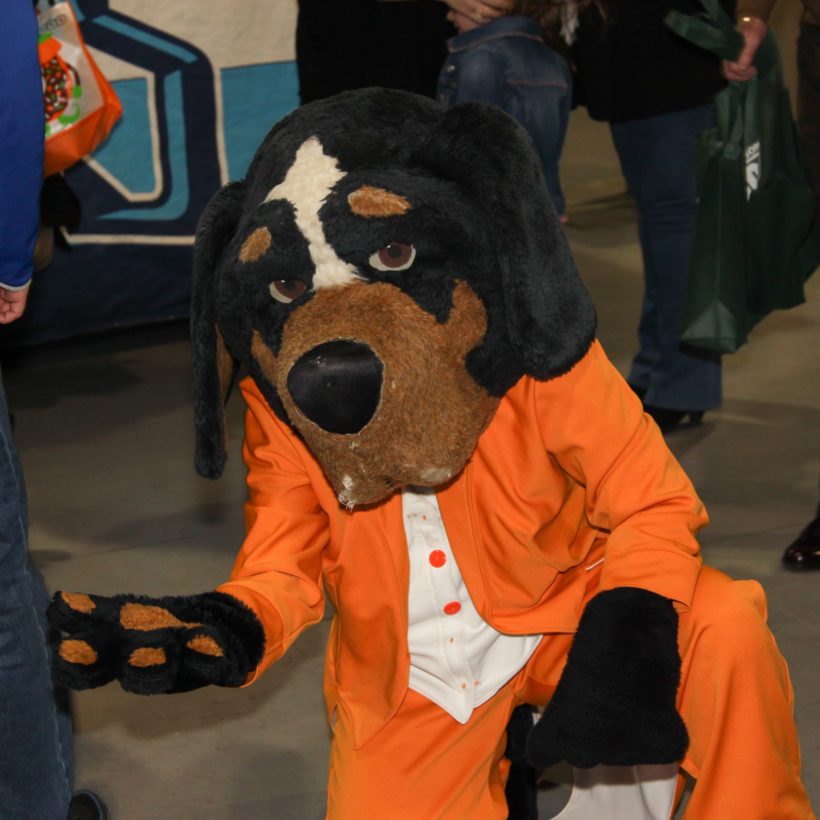 Mattm63 Sports Fest 2013 104 5 The Zone mattm63-sports-fest-2013-104-5-the-zone