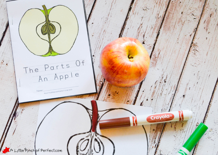 The Parts Of An Apple Color Read And Learn Free Printable Book