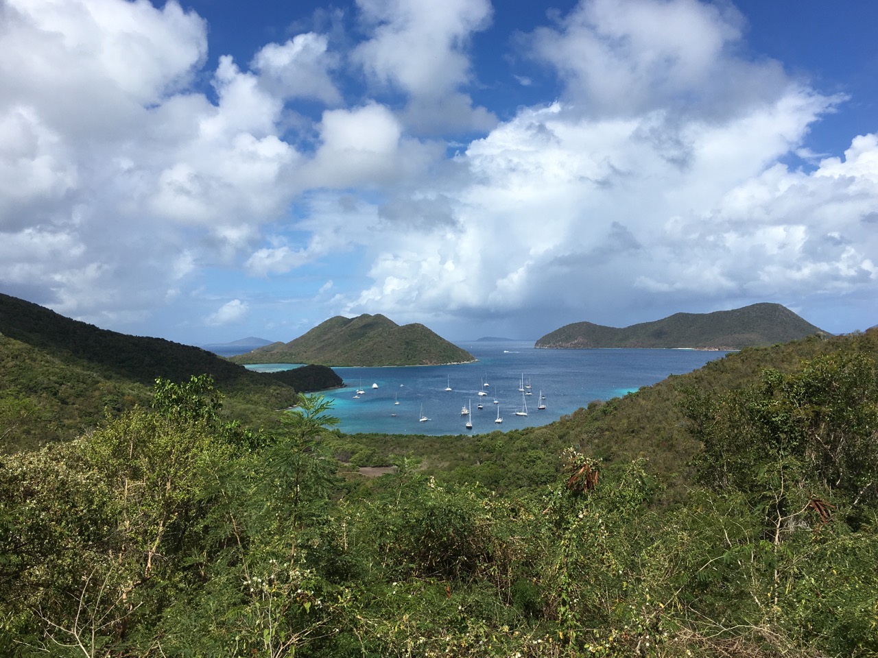 Tide Chart St John Usvi