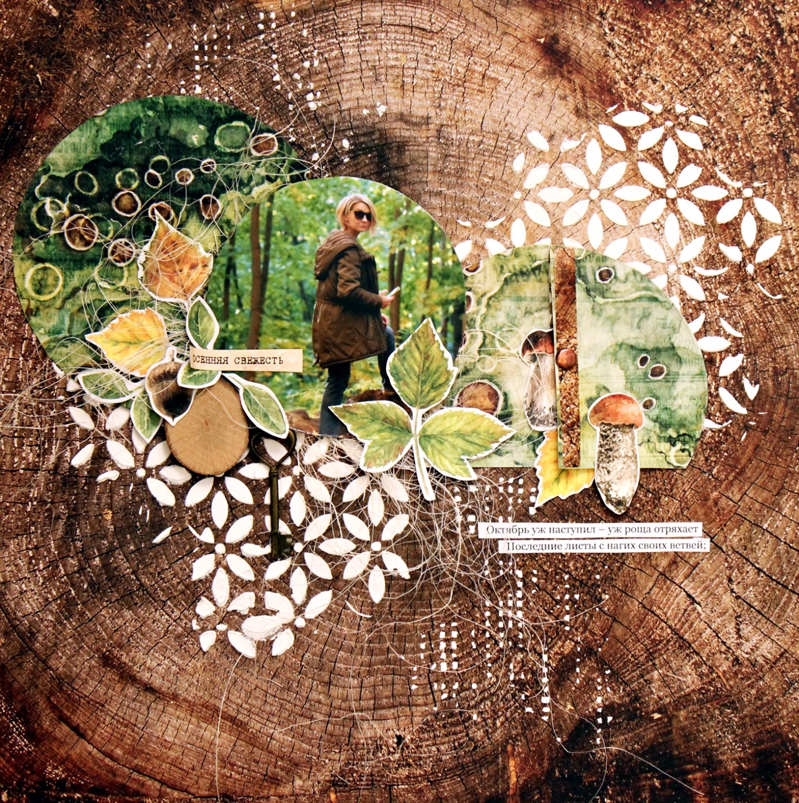 ЭКОПЕЙПЕР осенний лес купить