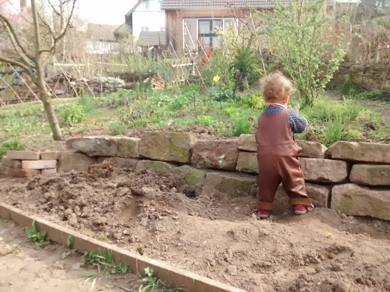 Garten Anfang Januar Bei 12 C Karl Erwin Und Die Frau Ein
