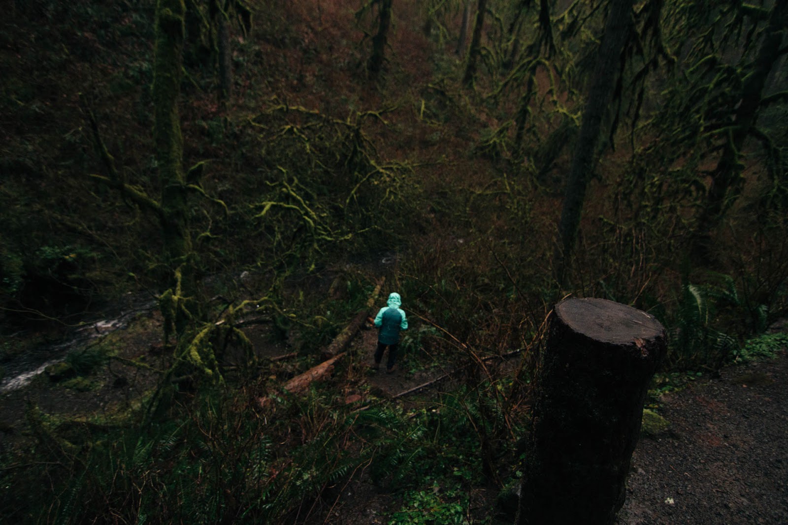 SILVER FALLS Christmas 2016 ROBBLAHBLOG