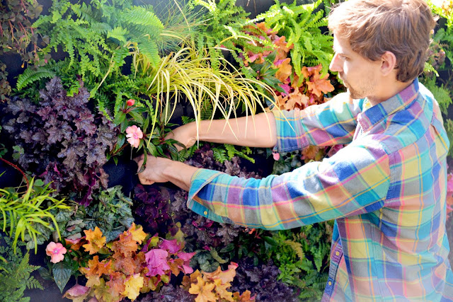 Designer Brandon Pruett uses Florafelt Vertical Garden Systems - PlantsOnWalls.com