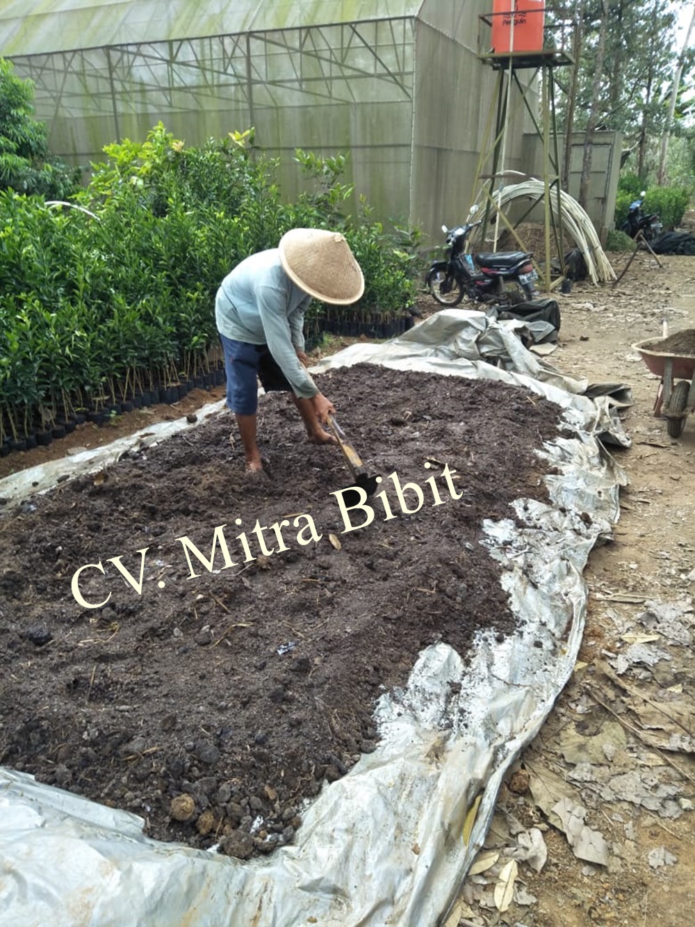 cv mitra bibit fermentasi pupuk kandang cv mitra bibit fermentasi pupuk kandang