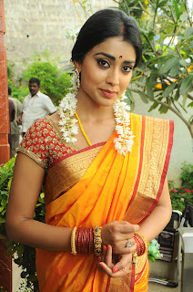 Shriya Saran Stills