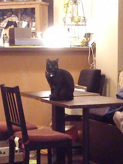 貓咪咖啡廳 波伊森先生