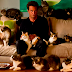 Go On: 1x02 "He Got Game, She Got Cats"