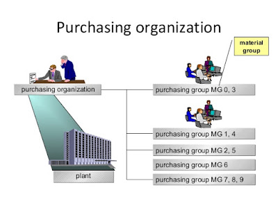 Plant to Company Code The centralized purchasing organization will accommodate the purchasing requirements for the whole company. For example, if a company has seven plants across the US, the central purchasing organization will be located in one location, and purchase items for all seven plants.