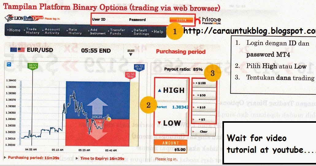 Hirose UK - LION Binary Option. A