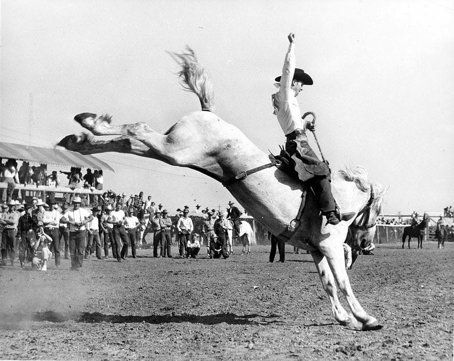 Cinema South Dakota A "Floating Horses" discussion