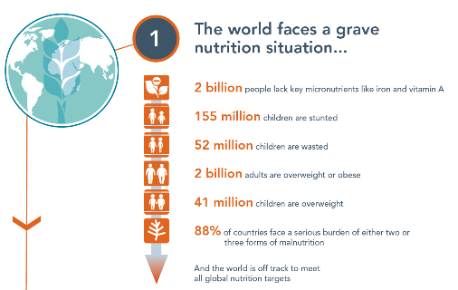 Global Nutrition Report 2018: Highlights