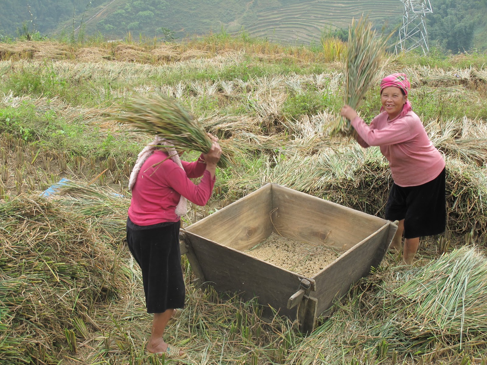 Habitat in Cambodia: Goodbye Vietnam