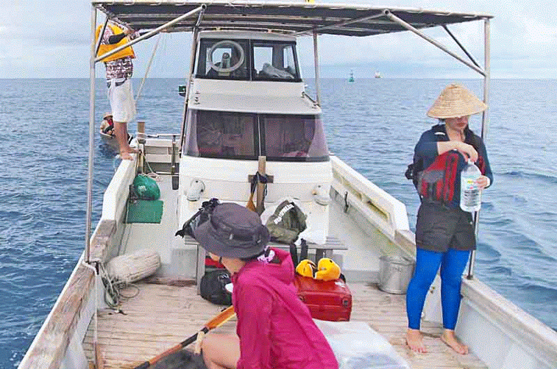 Ryukyu Life 5 More GIF Images from the 2016 Zamami to Naha Sabani Race