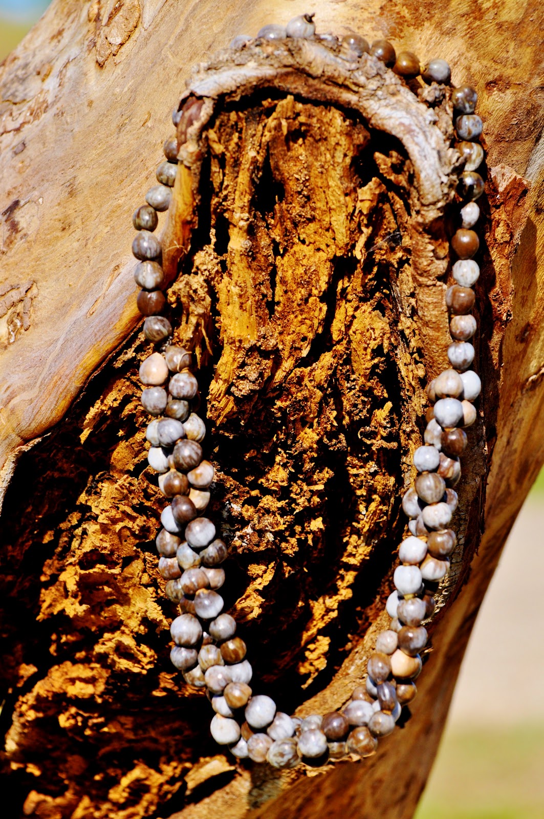 seeds-to-love-lagrima-de-san-pedro