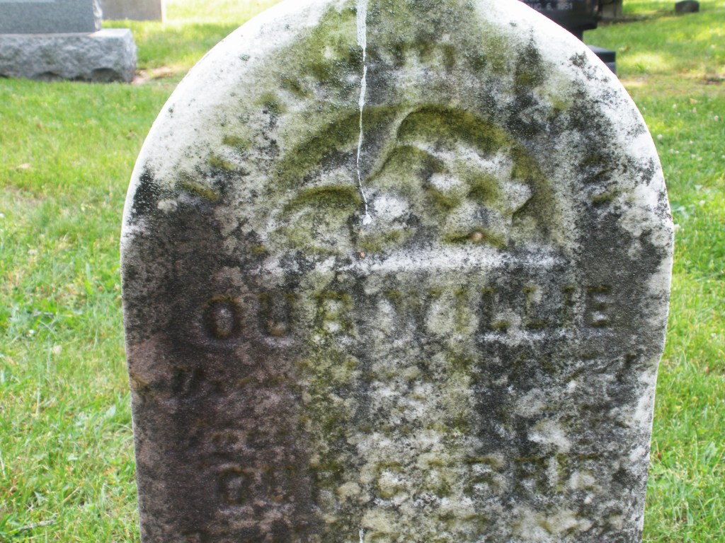 Engraved Lovely Lilies Lead the Way