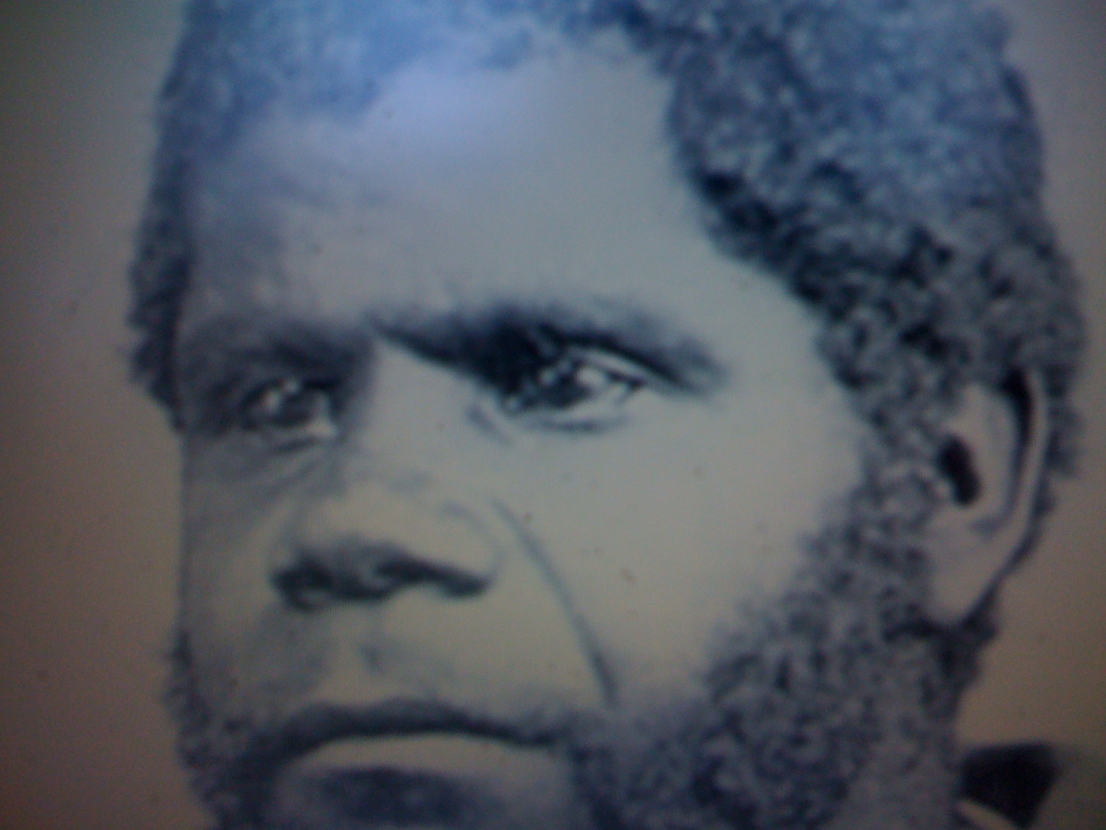 THE BLACK SOCIAL HISTORY BLACK SOCIAL HISTORY THE BLACK TASMANIANS