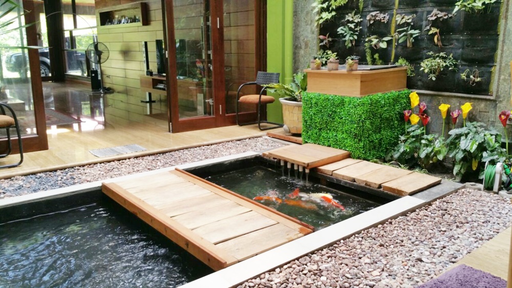 Jenis Kolam Ikan - Akuarium Ikan Hias
