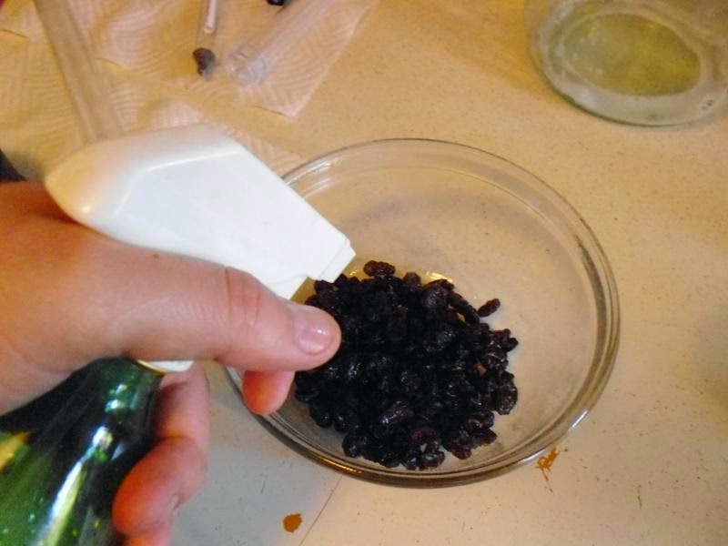 Preventing bugs on the raisins from infecting the wine