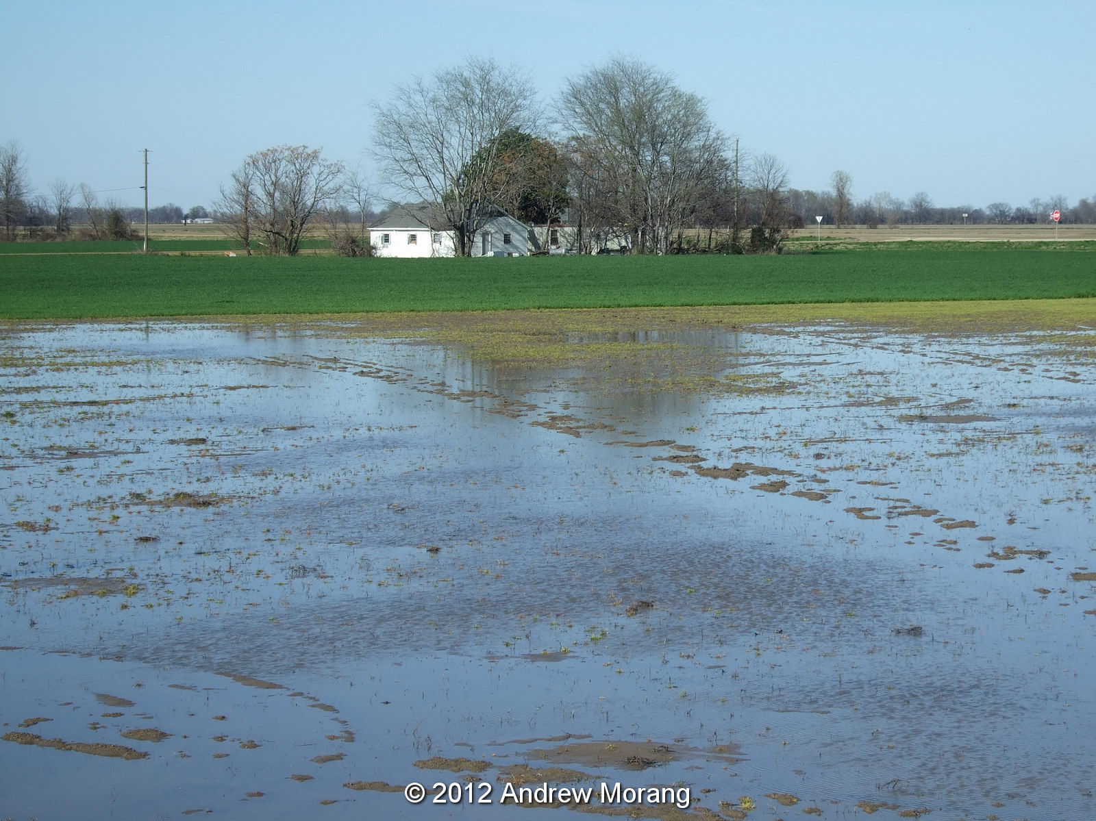 Urban Decay The Mississippi Delta 8 Mound Bayou