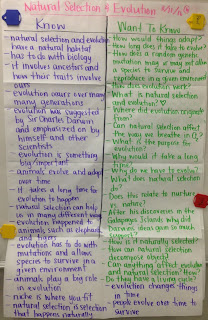Ap Biology Natural Selection Video Review Sheet Ap Biology Natural Selection Video Review Sheet