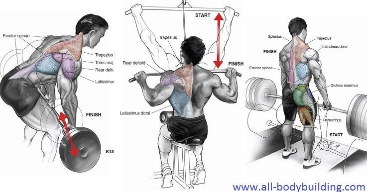 Full Body Muscle Building Dumbbell Workout Full Body Muscle Building Dumbbell Workout