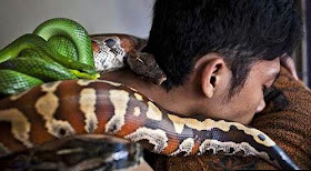 شاهدوا بالصور اغرب أنواع المساج والتدليك في العالم