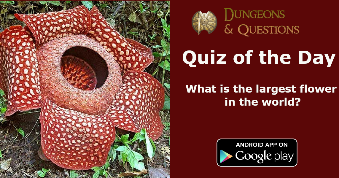 Quiz of the day: What is the largest flower in the world?