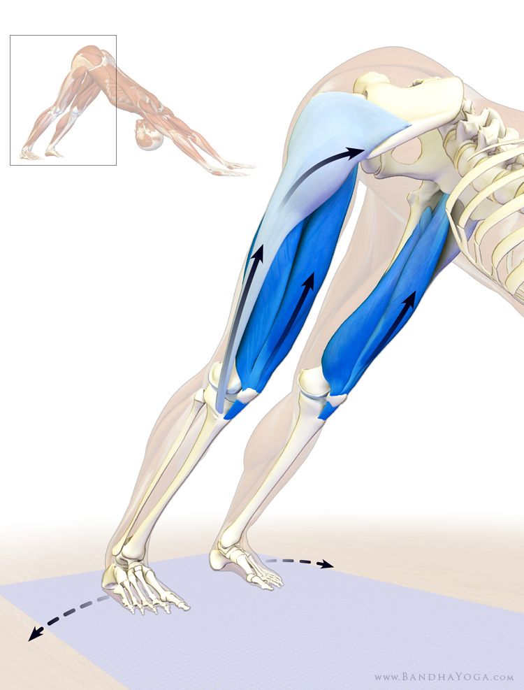 YOGA CON EDITH ABHIE YOGA POSTURAS BENEFICIOSAS PARA TENSOR DE LA