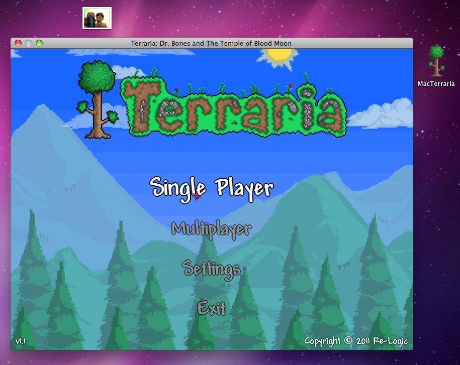 Terraria 1.3.0.8 Linux Full İndir.