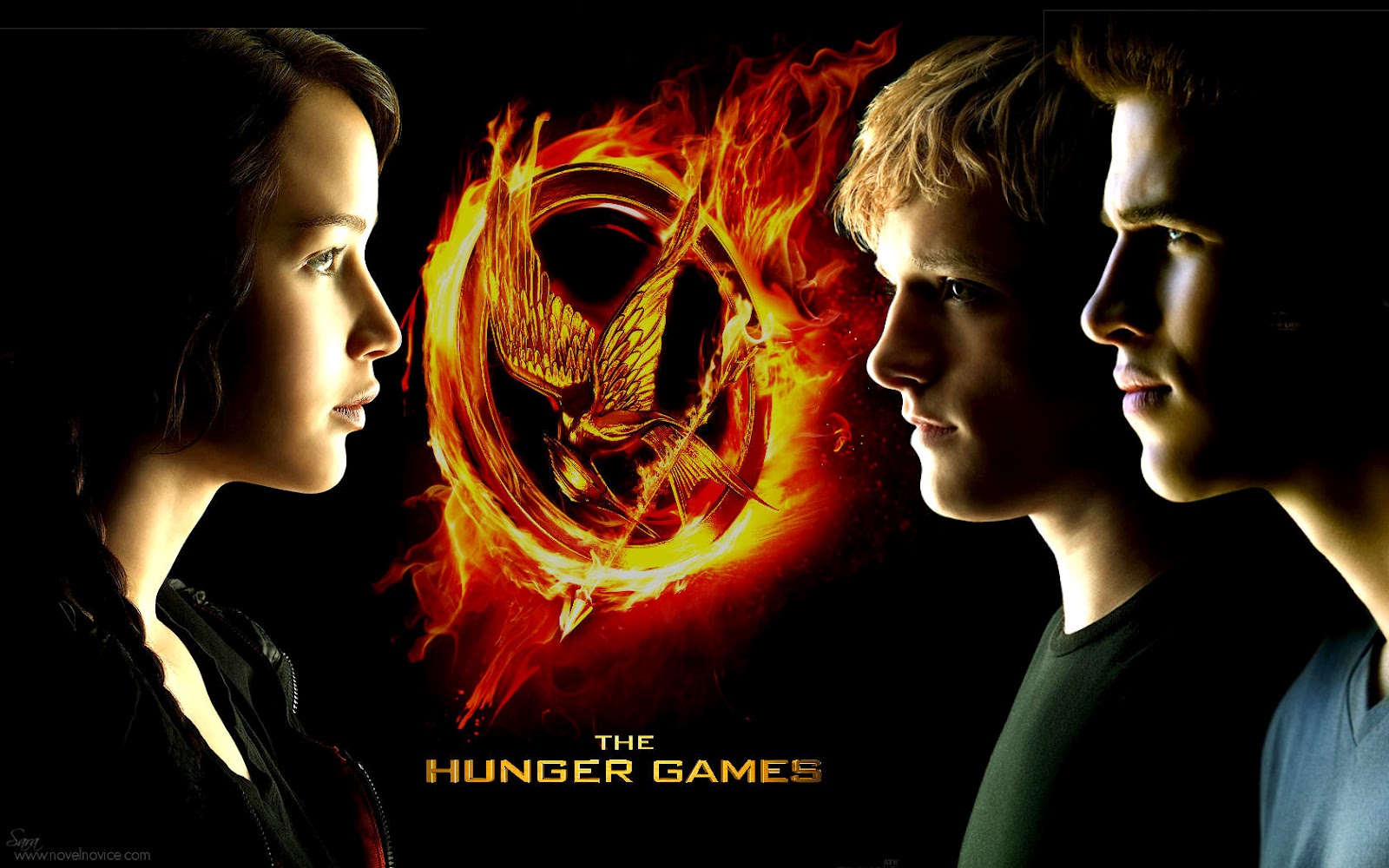 katniss+gale+and+peeta+flaming+bird+and+arrow+hunger+games+COOL.jpg