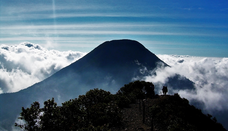 Pendakian Gunung Pangrango via Cibodas